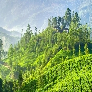 package-itinerary1565245776279rsz_ezgifcom-webp-to-jpg